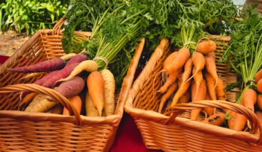 The Truth Is You Are Not The Only Person Concerned About organic